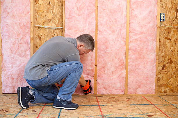 Best Attic Insulation Installation  in Cowan, TN